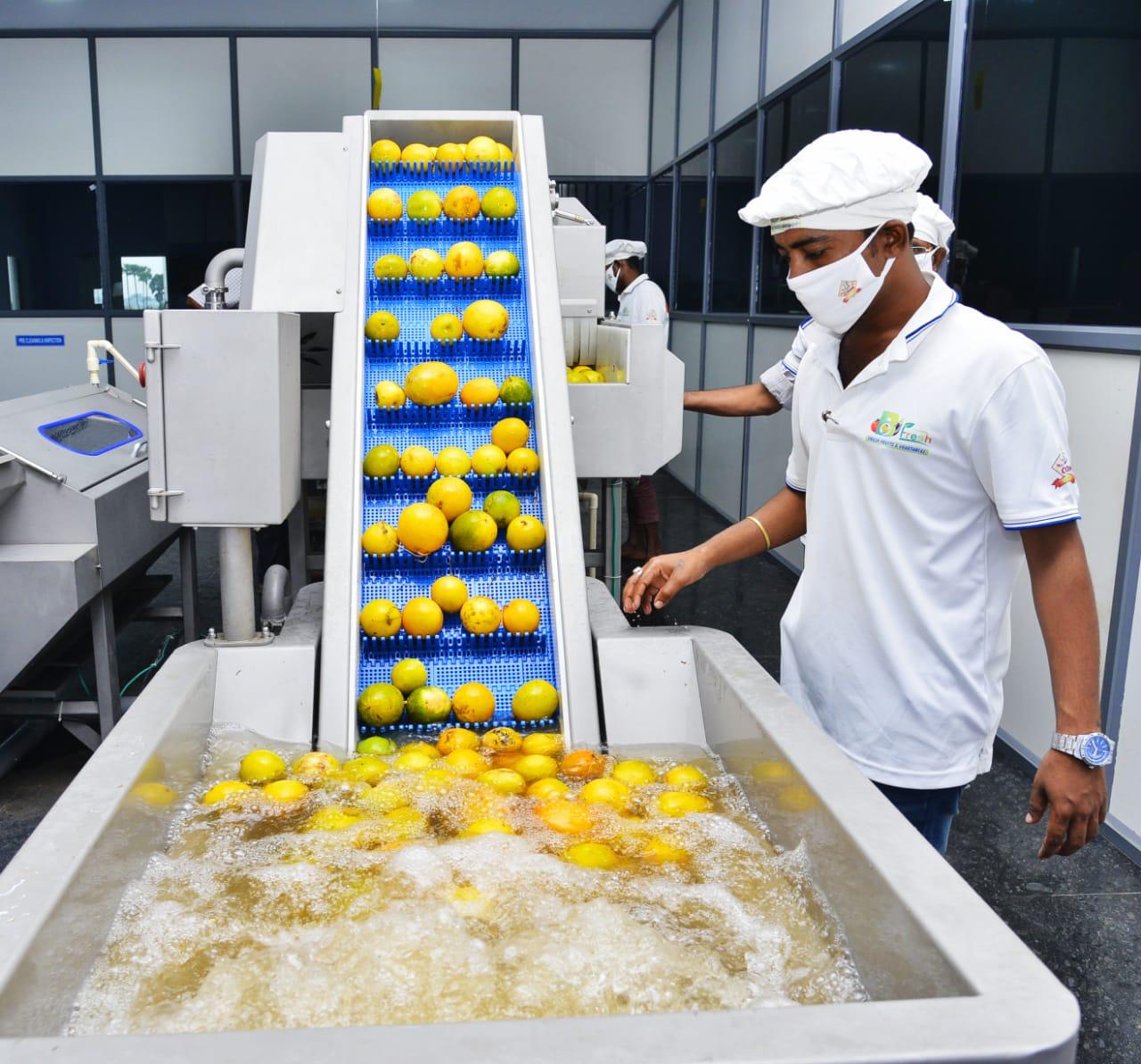 B Fresh packhouse facility
