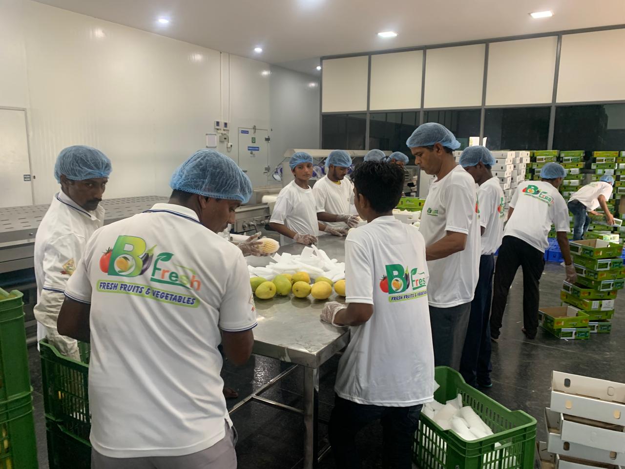 Kesar Mangoes from Gujarat
